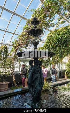 Inside Enid A. Haupt Conservatory at New York Botanical Garden with water fountain in an ornamental pond and vines on the roof Stock Photo