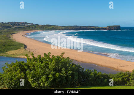 Bombo Beach, Kiama NSW  where a surfer suffered serious injuries in a shark attack on March 30th 2016 Stock Photo