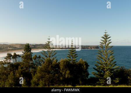 Bombo Beach, Kiama NSW  where a surfer suffered serious injuries in a shark attack on March 30th 2016 Stock Photo