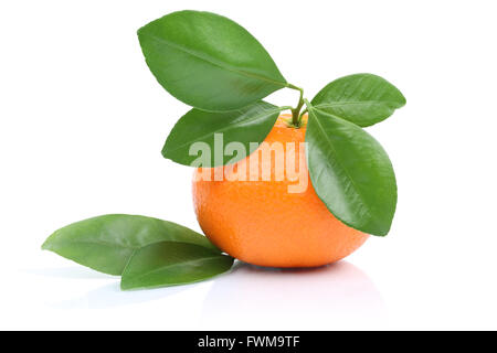 Mandarin orange fruit tangerine isolated on a white background Stock Photo