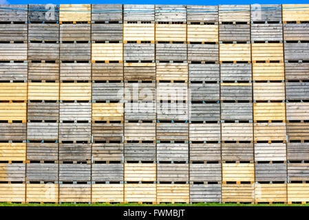 Lots of wooden crates on pallets stacked as a high wall. Small sliver of blue sky at the top.