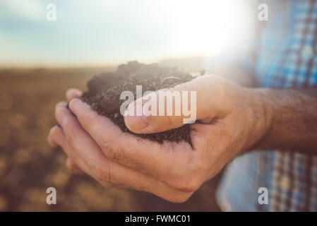 Farmer holding pile of arable soil, male agronomist examining quality of fertile agricultural land, close up Stock Photo