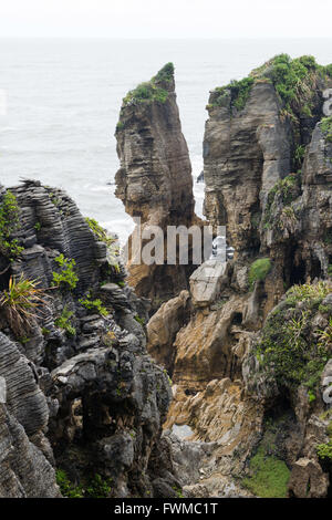 Pancake rocks in Punakaiki, South island, New Zealand Stock Photo