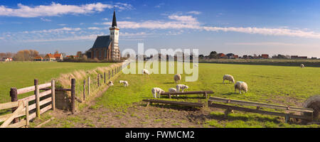 The church of Den Hoorn on the island of Texel in The Netherlands on a sunny day. A field with sheep and little lambs in the fro Stock Photo