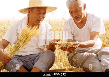 Farmer harvesting in field Stock Photo