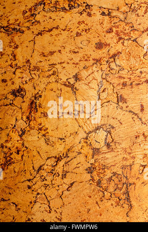 Texture of corkwood decoration material closeup Stock Photo