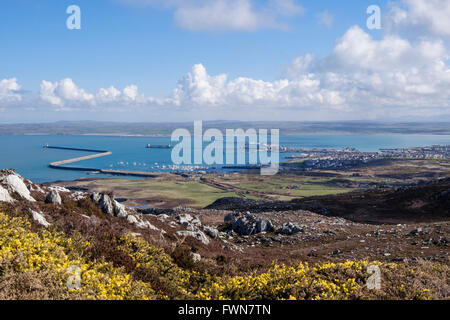 Holyhead port and town seen from Holyhead Mountain in spring. Holy Island, Isle of Anglesey (Ynys Mon), Wales, UK, Britain Stock Photo