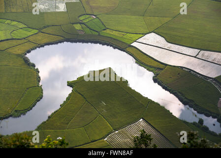 Aerial view over the creek running through the green plantation in Bacson Valley, Vietnam Stock Photo