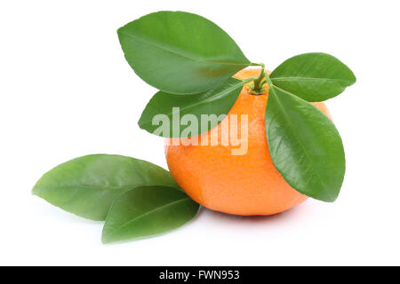 Mandarin orange tangerine isolated on a white background Stock Photo