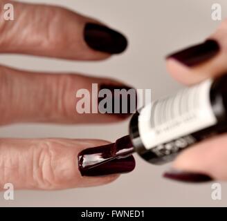 Plum colored nail varnish being painted onto fingernails Stock Photo