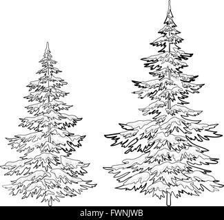 Christmas trees under snow, contours Stock Vector