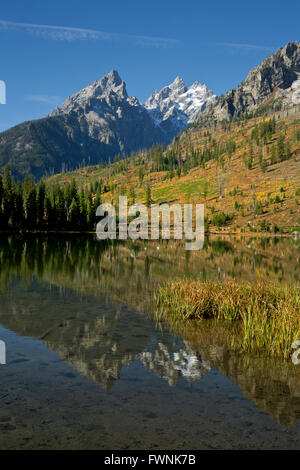 WY01445-00...WYOMING - The Tetons reflecting in the still waters of String Lake in Grand Teton  National Park. Stock Photo