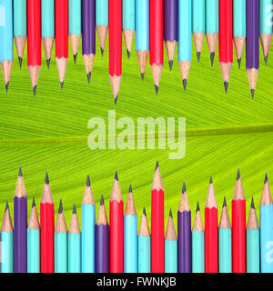 colorful pencils frame on leaf background Stock Photo