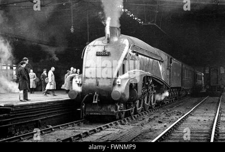 LNER A4 Class No 60034 ' Lord Faringdon' during the locomotive exchanges of 1948. The location is unknown. Stock Photo