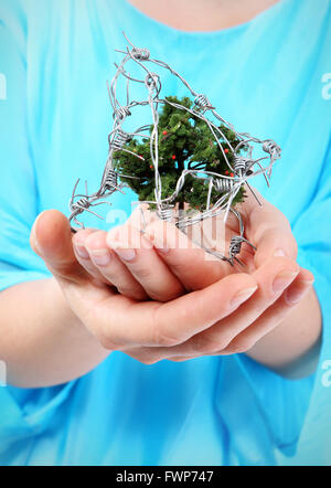 A woman holds on hands small tree wrapped in barbed wire. Stock Photo