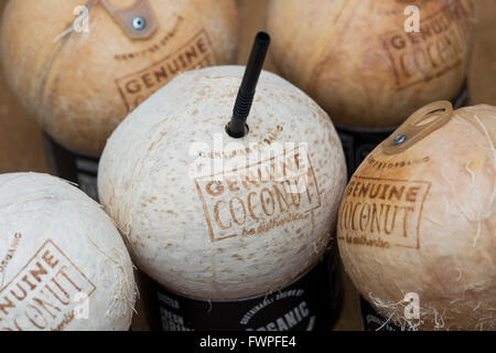 Marks and Spencers organic drinking coconuts with a straw and ring pull Stock Photo