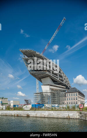Belgium, Antwerp, Nieuw Havenhuis designed by Zaha Hadid in construction Stock Photo