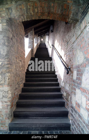 Stairs leading to the top of Castle Hill in Budapest, Hungary Stock Photo
