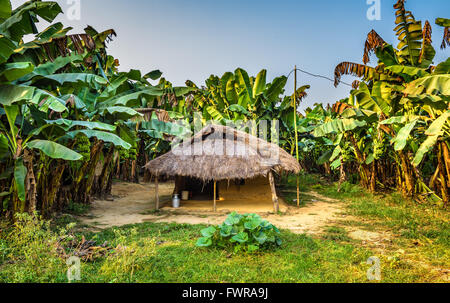 A little hut in  in the tropical jungle of Chitwan National Park, Nepal Stock Photo