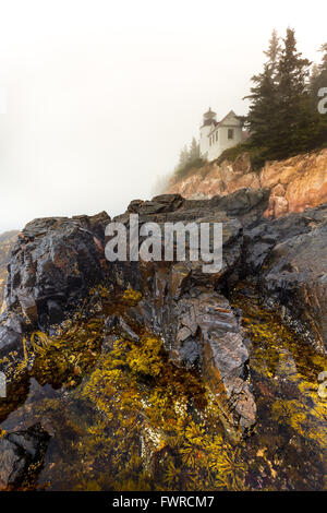 The iconic Bass Harbor Head Lighthouse on a foggy day in Acadia National Park, Mount Desert Island, Maine. Stock Photo