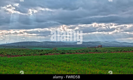 the sun's rays filter through the clouds on a green lawn Stock Photo