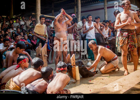 Sacrifice a goat as an offering for the goddess Durga during the Durga Puja Festival celebrations. © Jahangir Alam Onuchcha/Alam Stock Photo