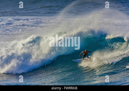 Surfing in Maui Stock Photo