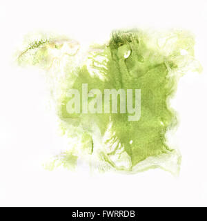 paint watercolour splatter watercolors green spot blotch isolated Stock Photo