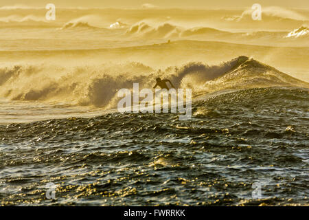 Surfing in Maui Stock Photo