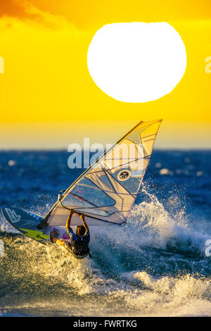windsurfing Maui Stock Photo