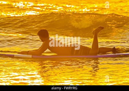 Surfing in Maui Stock Photo