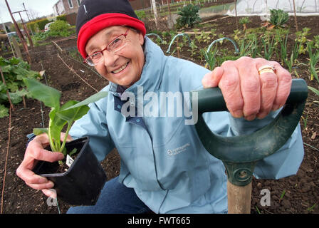 Pensioner Maureen O'Shea on her allotment in Tonteg,Mid Glamorgan,Wales ...