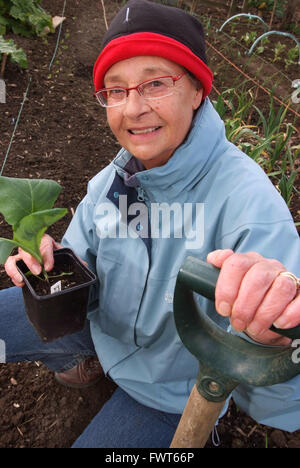 Pensioner Maureen O'Shea on her allotment in Tonteg,Mid Glamorgan,Wales ...