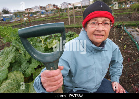 Pensioner Maureen O'Shea on her allotment in Tonteg,Mid Glamorgan,Wales ...