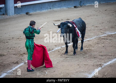 Final stage, the 'tercio de muerte' in Plaza de Toros de Las Ventas bullring, Madrid, Spain Stock Photo