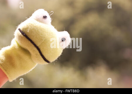 frog as finger puppet Stock Photo