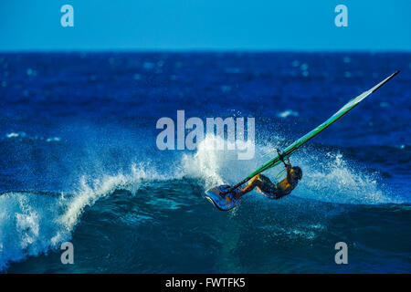 windsurfing in Maui