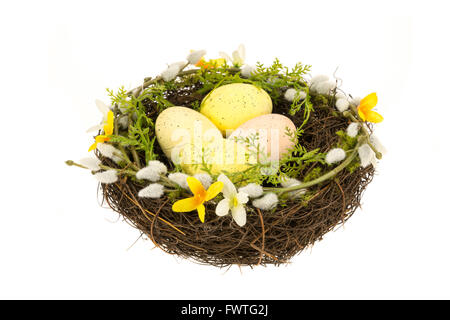 An Easter nest containing four coloured eggs - white background Stock Photo