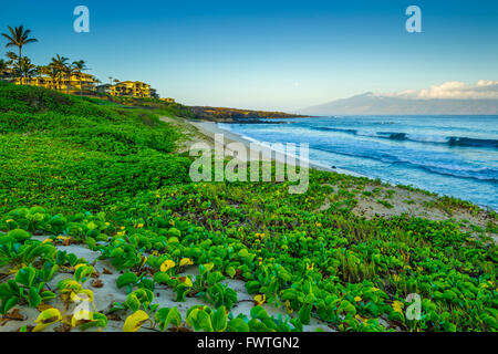 view of Molokia from Kapalua area of Maui Stock Photo