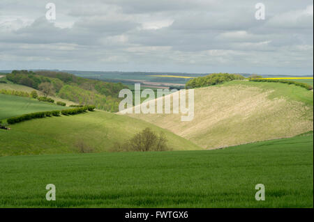 A view of the Yorkshire Wolds near Huggate in East Yorkshire Stock Photo