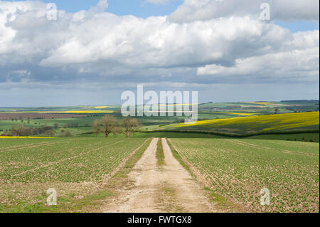 A view looking over the countryside of the Yorkshire Wolds in East Yorkshire Stock Photo