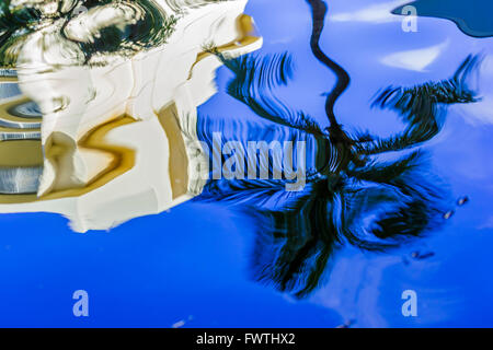 Reflection of Palm tree in a Kaanapali resort in Maui Stock Photo