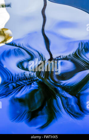 Reflection of Palm tree in a Kaanapali resort in Maui Stock Photo