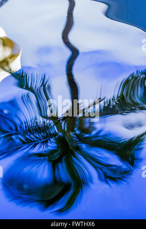 Reflection of Palm tree in a Kaanapali resort in Maui Stock Photo