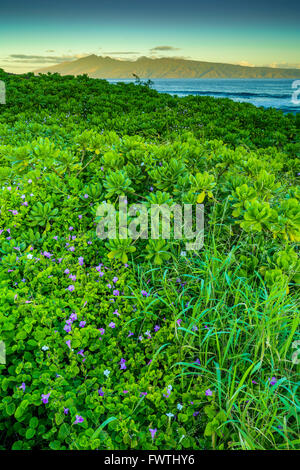 View of Molokai at sunrise from Kapalua area of Maui Stock Photo