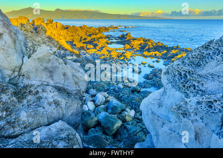 View of Molokai at sunrise from Kapalua area of Maui with porous lava rock on Maui shore in foreground Stock Photo