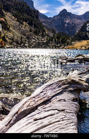 A bleached log on the shore of a mountain lake. Stock Photo