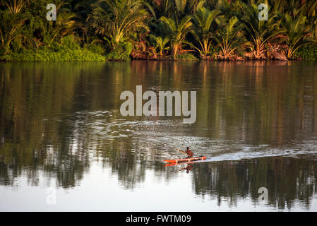 Local Man paddling on canoe Sepik River, Papua New Guinea Stock Photo