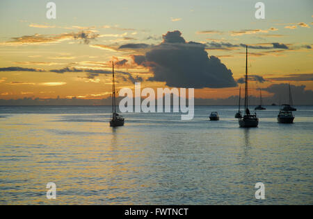 Caribbean, Windward Islands, Dominica, Roseau, Yachts at Sunset Stock Photo