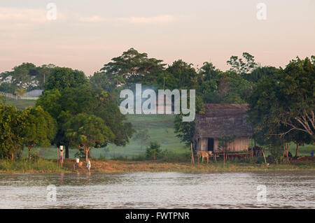 Amazon rainforest: Expedition by boat along the Amazon River near Iquitos, Loreto, Peru. Navigating one of the tributaries of the Amazon to Iquitos about 40 kilometers near the town of Indiana. Small huts clustered in the margin of one of the affluents of the Amazon River Stock Photo